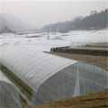 Best-selling Plastic Film Greenhouse for Flowers Agriculture