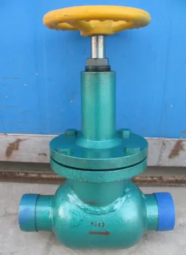 American Standard Stainless Steel Globe Valve