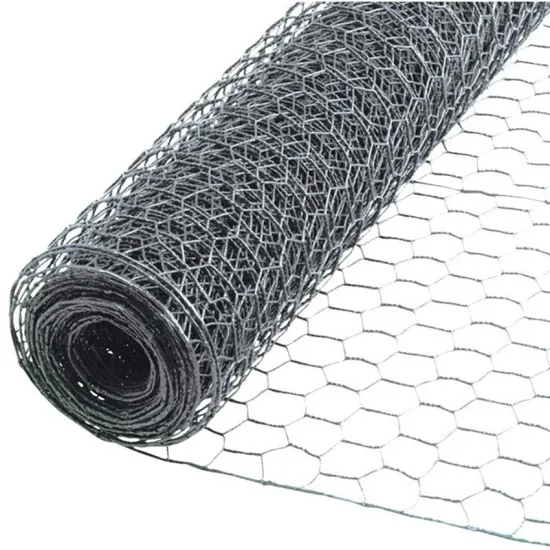 Galvanized Chicken Wire Hexagonal Mesh 0.7mm 1'' Hole 5ft x 50m Roll for Farm