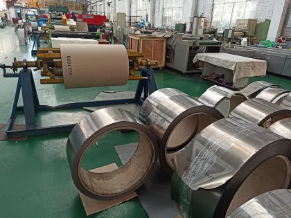 Titanium Foils loudspeaker voice membrane sound film