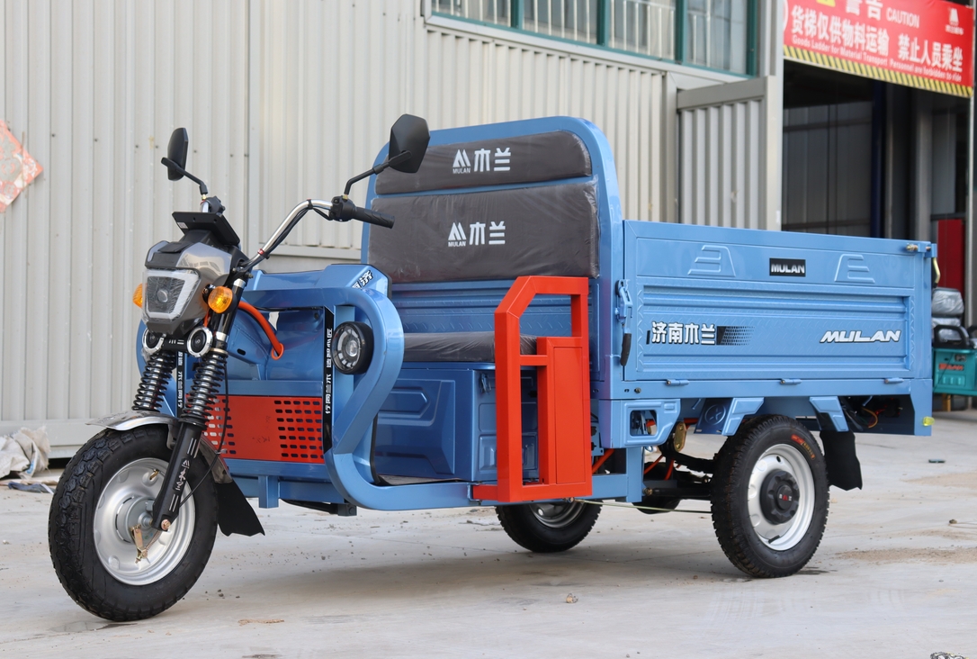 Cargo Electric Tricycle