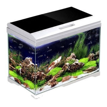 High-Quality Small Fish Tank with Smart Accessories