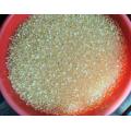 Cola Hot Melt para Orlas Amarelas Premium 9300