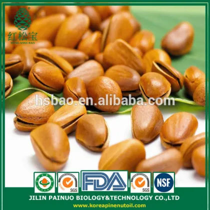 Factory Direct High Quality Roasted Open Pine Nuts in Shell