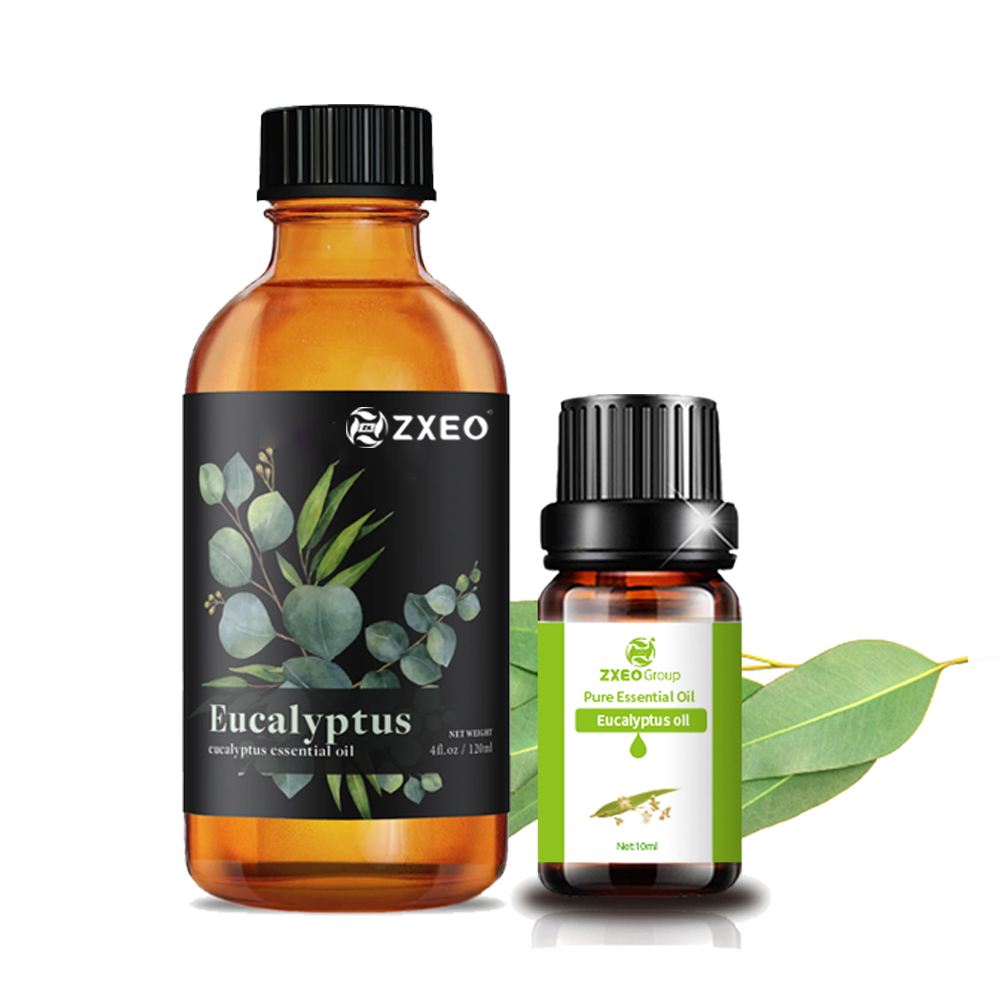 Secue de ar de marca privada Eucalyptus globulus Óleo