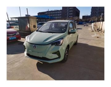 Changan Rushing Call Edition: 69800 Mini 4-Wheel Electric SUV