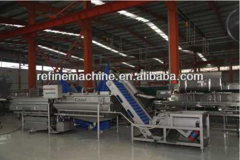 stainless steel date washing machine/jujube washing machine/fruit washing machine