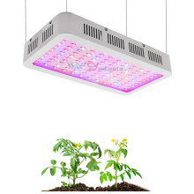 Full Spectrum Growth Lamp 1200w 1000w 600w