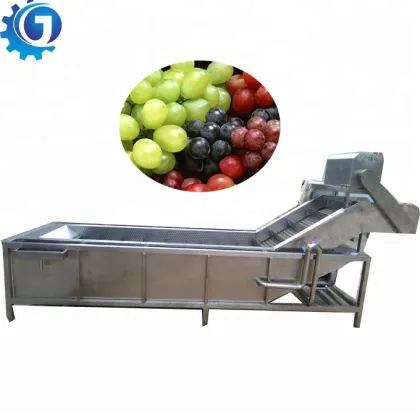 Fruit and Vegetable Washing and Processing Machinery