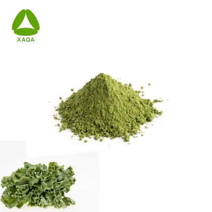 Organic Supplement Pure Kale Leaf 99% Powder