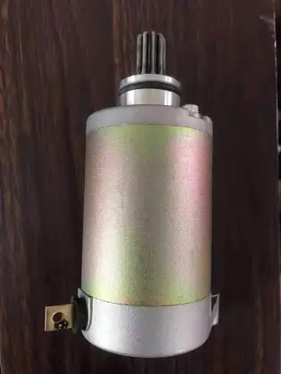 GS150 Motorcycle Starter Motor