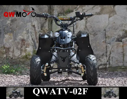 QWMOTO CE 50cc 110cc 125cc China polaris style ATV 110cc Kids polaris ATV