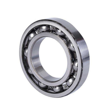 Single Row Deep Groove Ball Bearing (61810)