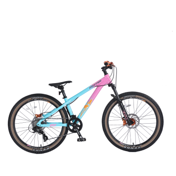 Hardtail BMX Freestyle Büyük Boy Lastik Şehir Dağ Bisikleti