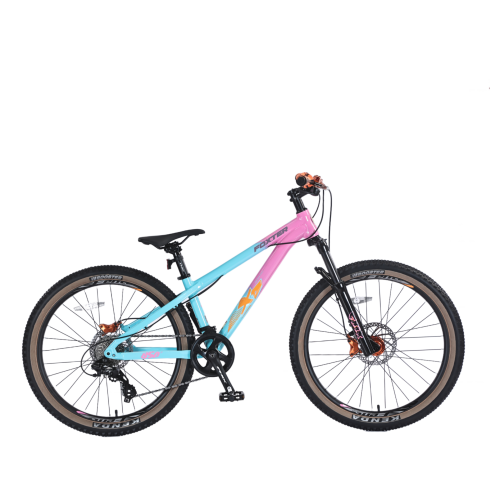 Hardtail BMX Freestyle Büyük Boy Lastik Şehir Dağ Bisikleti