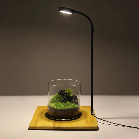 Full Spectrum Micro Landscape LED Illumination Lamp with Bamboo Grow Light Stand