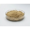 Gynostemma Pentaphyllum Leaf Extract Gynostemma Gypenosides