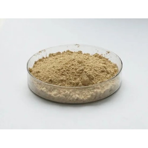 Gynostemma Pentaphyllum Leaf Extract Gynostemma Gypenosides