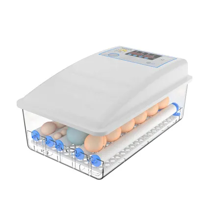 Factory-Price Automatic Chicken Egg Incubators: Professional Hatching Equipment