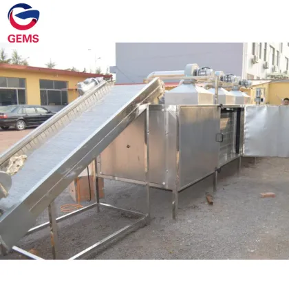 Mango Chips Green Chilli Dehydrating Onion Dehydration