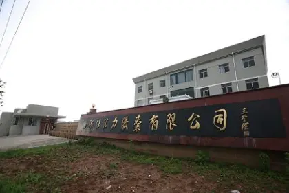 Gastric coated capsule