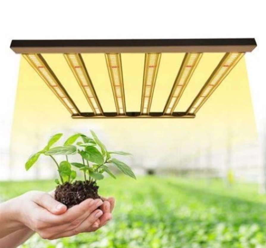 High efficiency plant growth light