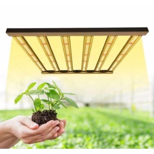 Lumière de croissance des plantes à haute efficacité