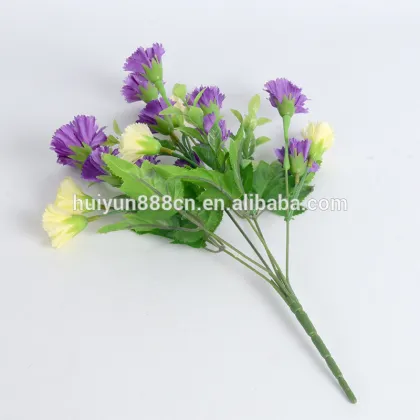 Wholesale high quality fresh cut flowers Carnation flowers for wedding