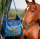Portable Slow Feed Horse Hay Bag Large Capacity