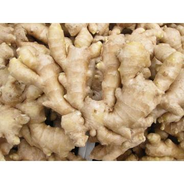 Air Dried Ginger