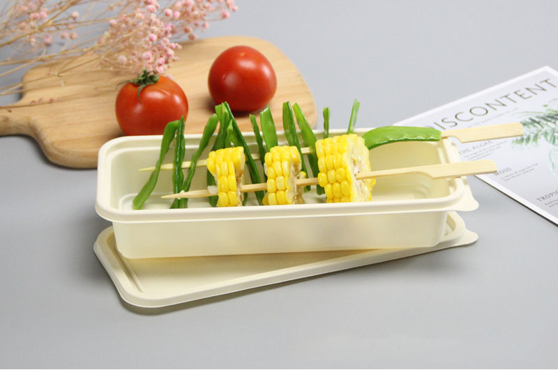 Biodegradable Sugar Cane Bagasse Plates Sets for Party