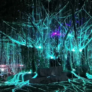 Outdoor Professional LED Fiber Optic Water Curtain Avatar Tree Lights for Gardens and Parks