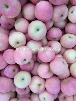 Early fuji apple of 2017 new season