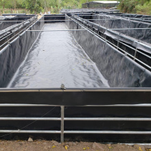 Resistência UV HDPE Aquicultura Peixe Membrana Agricultura