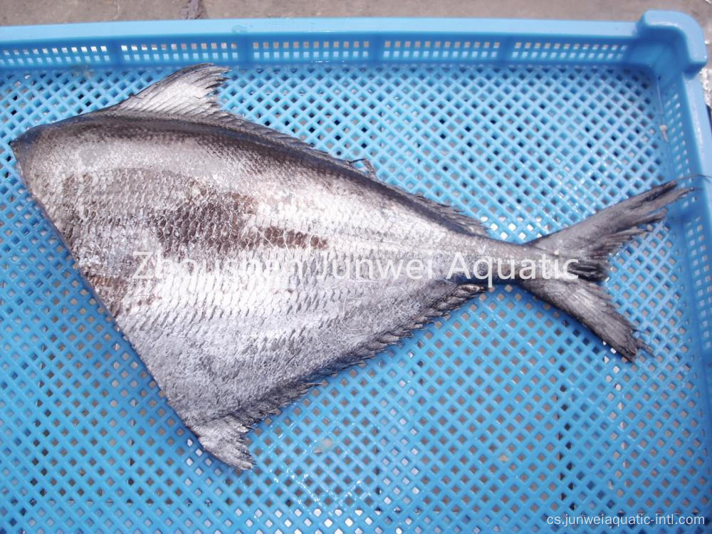 Zmrazené HG Brama Brama Vysoká kvalita