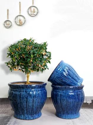 Cheap Large Garden Planters Plant Pots