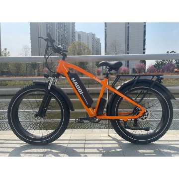 Stylish 750W Electric Mountain Bike: Excellent Performance for Commuters and Riders, Enjoying Smooth Roads
