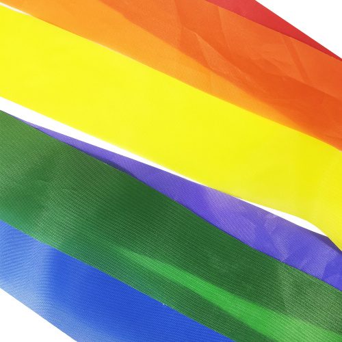Anpassad nationell flagga Wind Sock Rainbow Windsock
