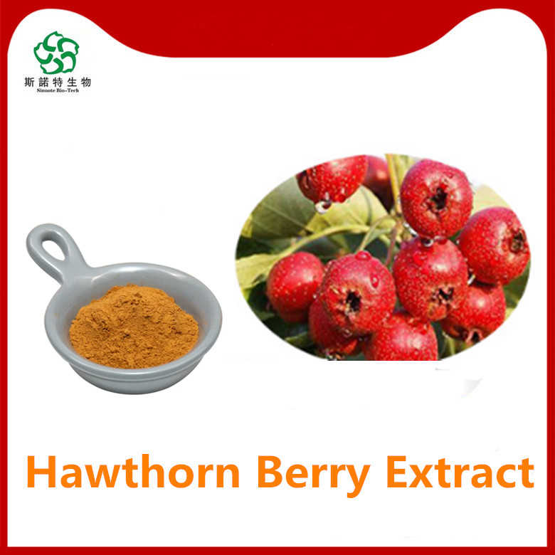 Extrato de espinheiro Hawthorn Hawthorn 5% a 30% flavonóides