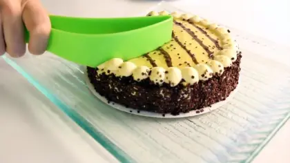 Best Cake Server/Pie Server/Cake Cutter/Cake Lifter