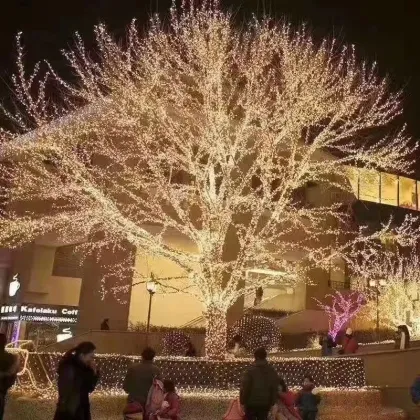 LED String Lights Outdoor