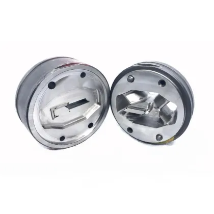 Steel door extrusion mold