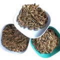 Best Quality Sunflower Seeds Type 363/361