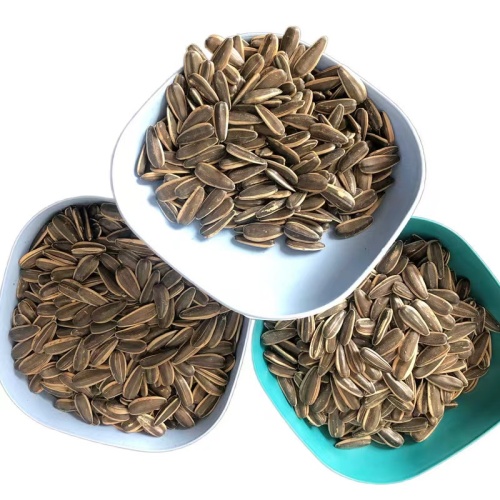 Big Size Sunflower Seeds With Long Shape