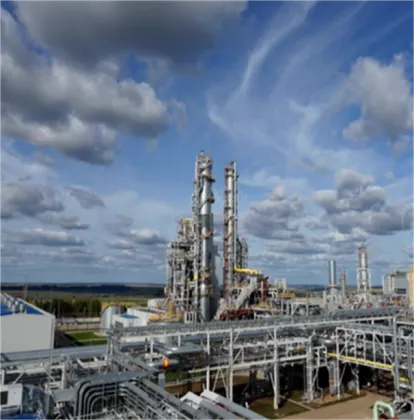 Organic Soybean Extract Soy Isoflavones Powder