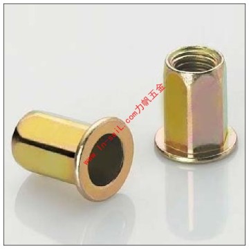 Hexagonal Rivet Nut