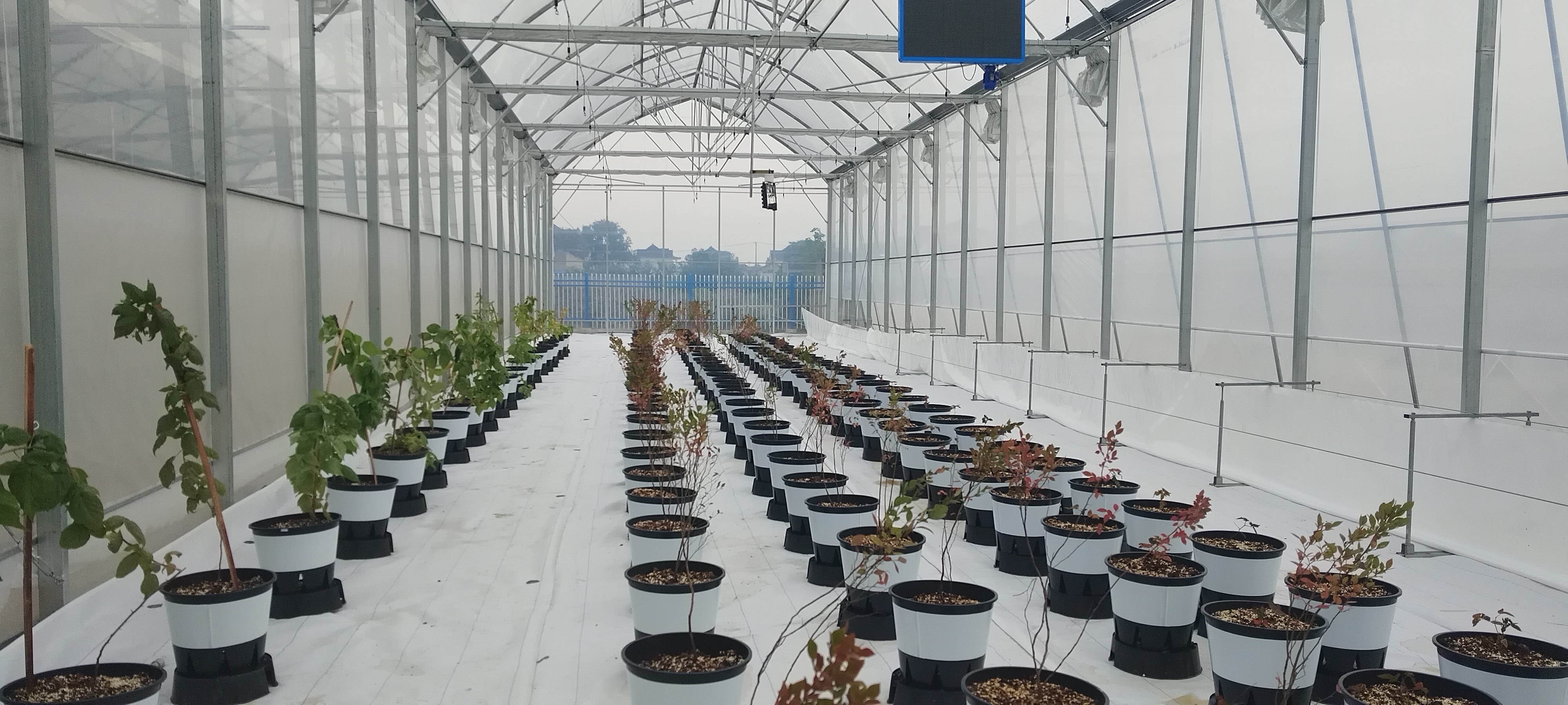 59aea42ad0236501224a1b588d10fa15