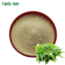 Organic Nettle Extract powder Nettle Root Extract