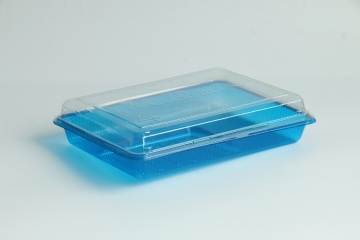 Wholesale Blister Food Packaging