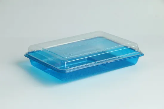 Wholesale Blister Food Packaging